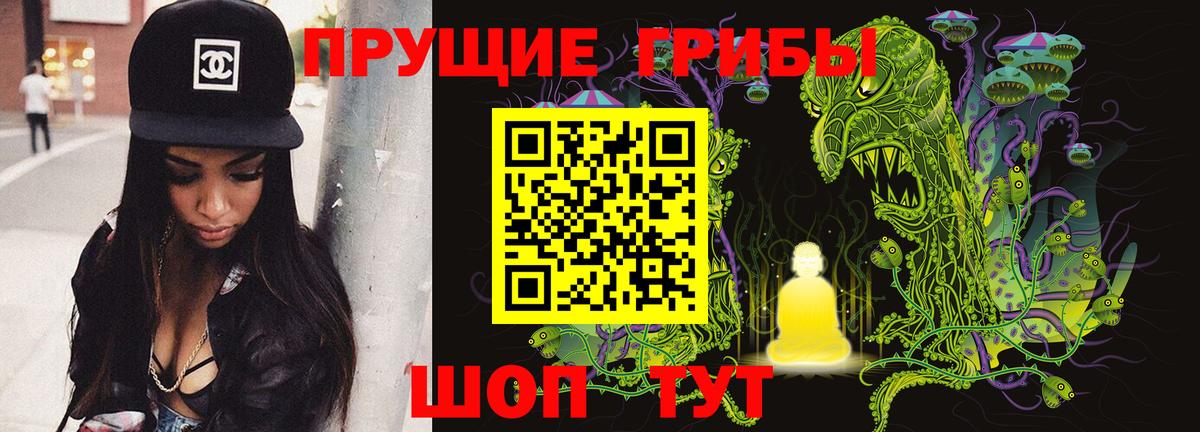 Псилоцибиновые грибы Psilocybine cubensis Кировск