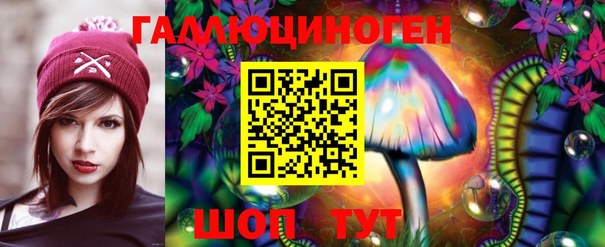 купить наркотики сайты  Вход с VPN  Кировск  Псилоцибиновые грибы мухоморы 